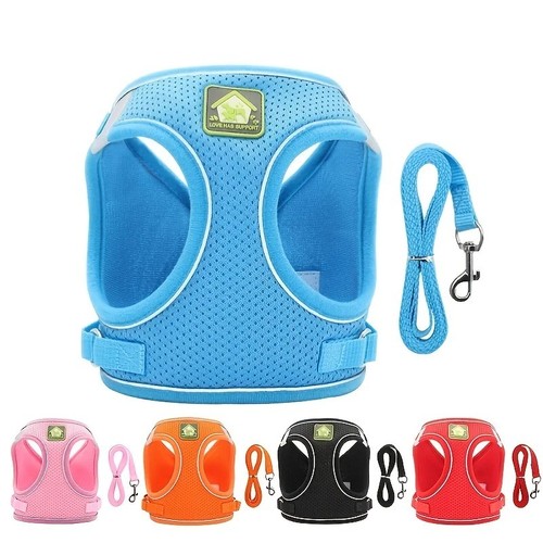 Pull dog pet - dog, harness